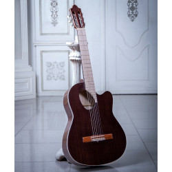 گیتار طرح خاص پاپ مدل B-19P