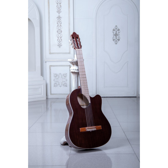 گیتار طرح خاص پاپ مدل B-19P