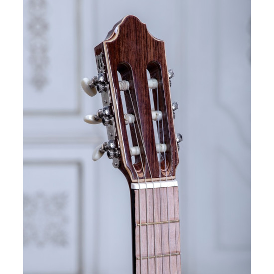 گیتار طرح خاص پاپ مدل B-19P