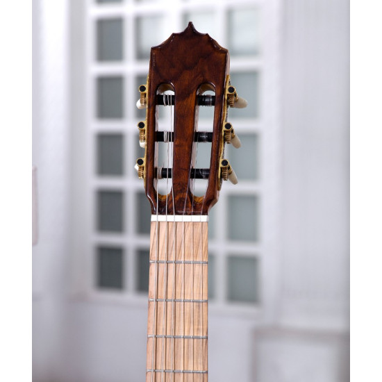 گیتار تمام چوب پاپ مدل SP-35P