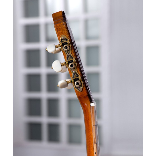 گیتار تمام چوب پاپ مدل SP-35P