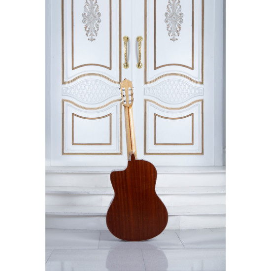 سفارش گیتار دست ساز اقتصادی 