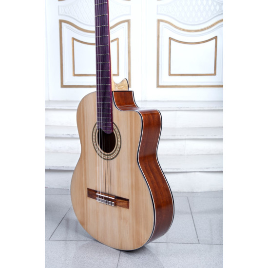 سفارش گیتار دست ساز اقتصادی 