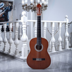 سفارش گیتار دست ساز اقتصادی 