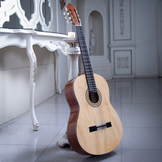 سفارش گیتار دست ساز اقتصادی 