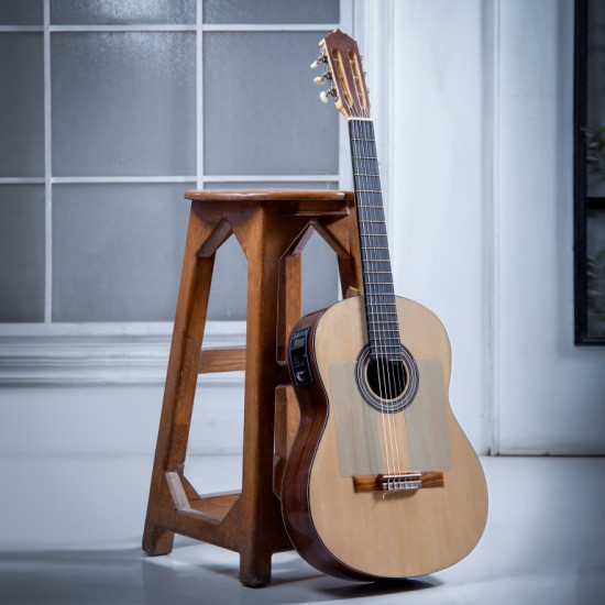 سفارش گیتار دست ساز اقتصادی 